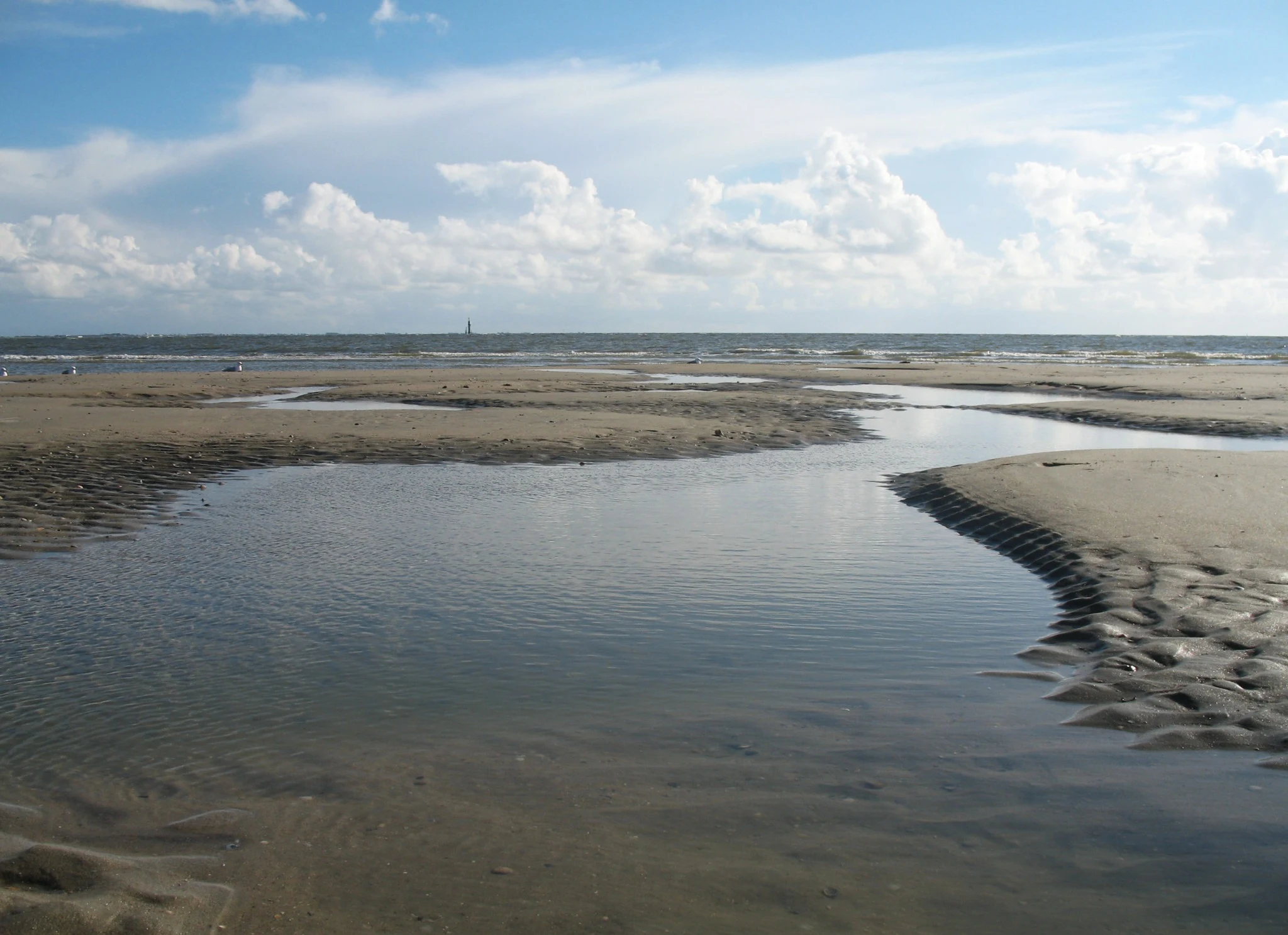Ebbe