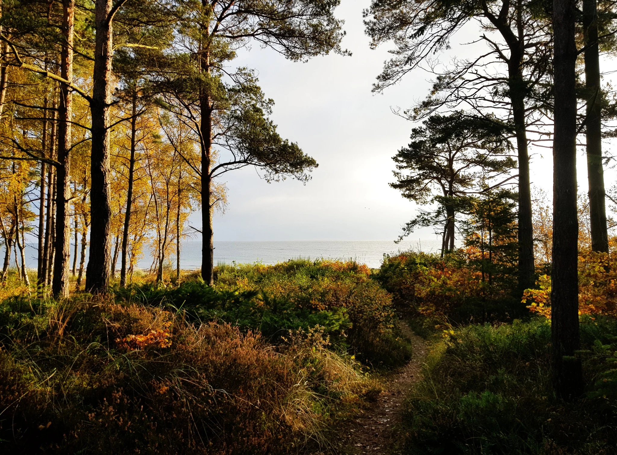 Weg zum Meer