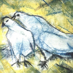 PastellTauben