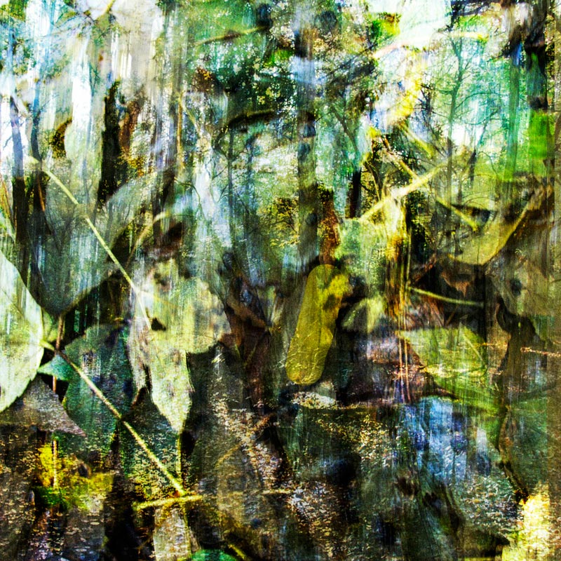 Chrashgrafik, Transformation Wald 2
