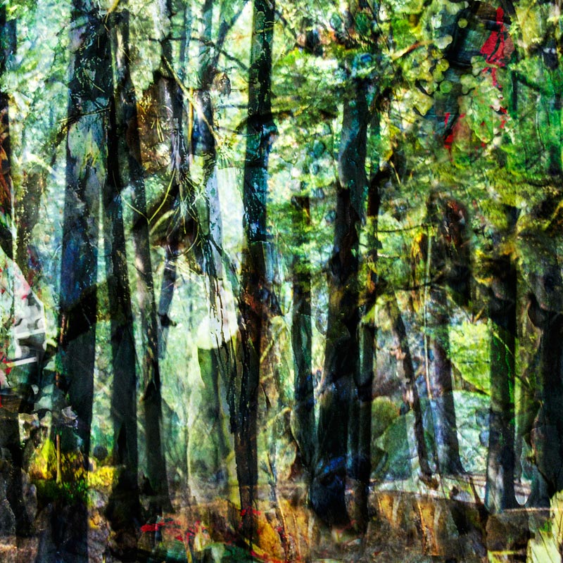 Chrashgrafik, Transformation Wald 1