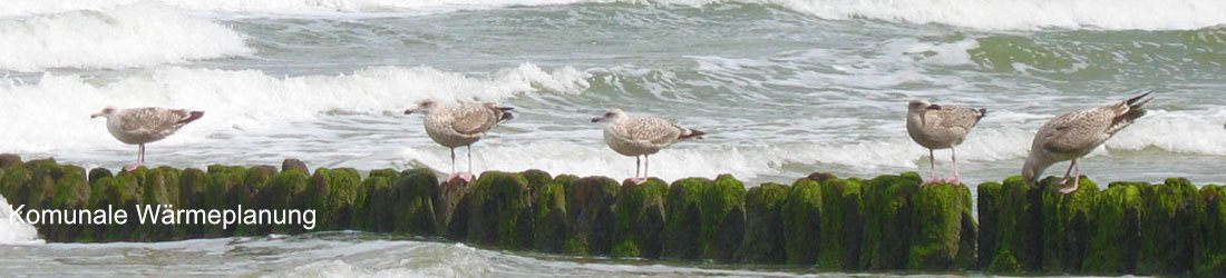 header-zihao Norderney